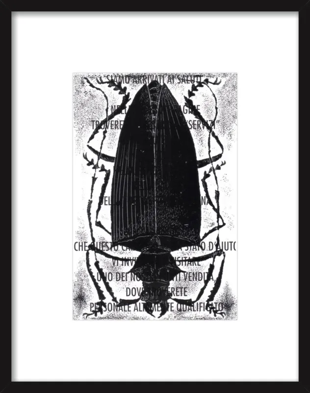 Black Beetle on Words by Tennopent Sooster for Artfully Walls