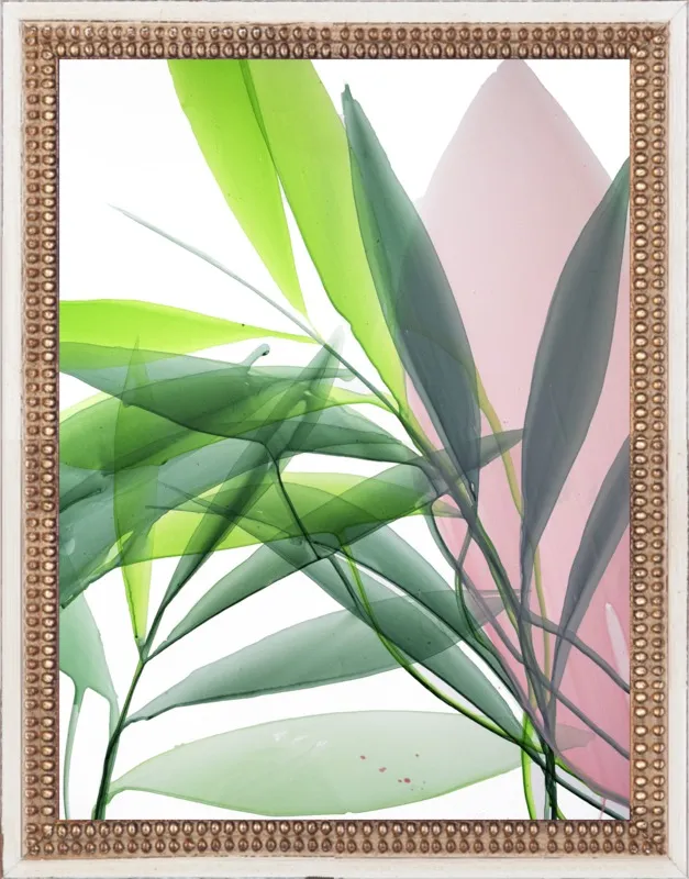 Tropical Study no. 15 by Marina Dunbar  for Artfully Walls