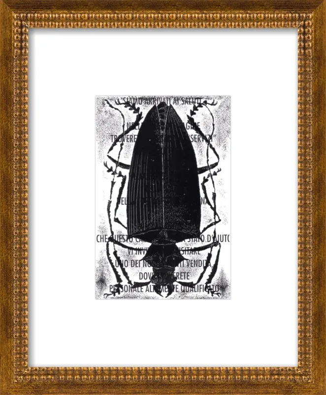 Black Beetle on Words by Tennopent Sooster for Artfully Walls