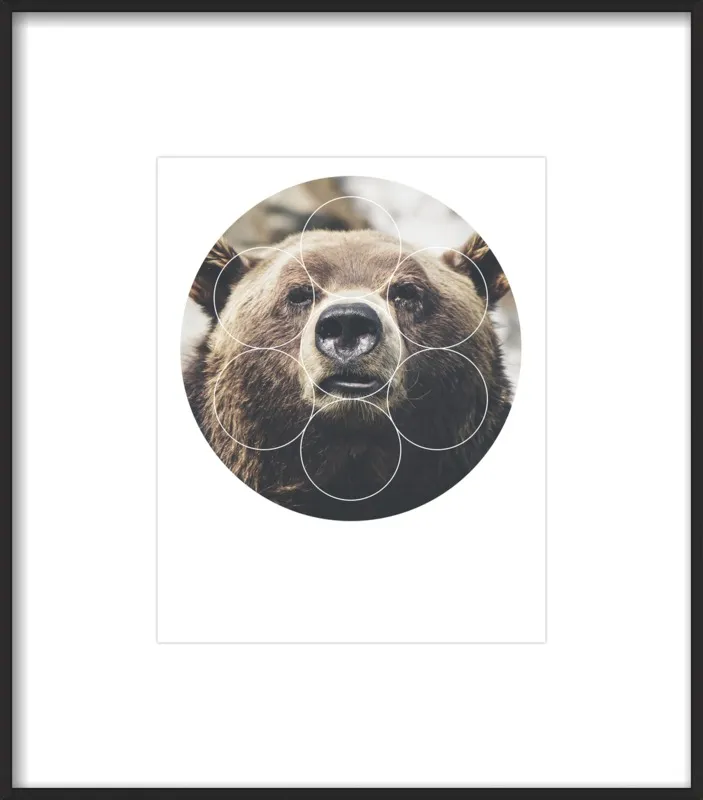 Big Bear Buddy - Geometric Photography by Emiliano Deificus for Artfully Walls