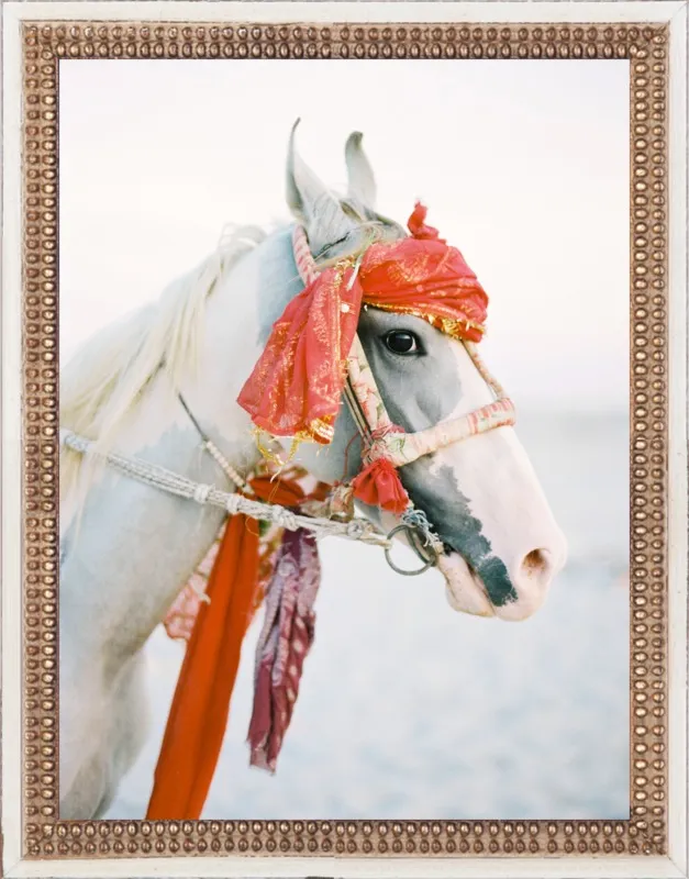 Marwari by Andrew Jacona for Artfully Walls