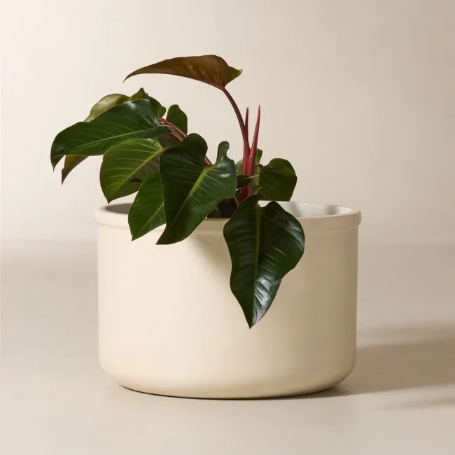 Oakley Round Faux Limestone Indoor/Outdoor Large Planter 18.5"H