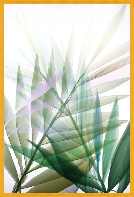 Tropical Study no. 8 by Marina Dunbar  for Artfully Walls