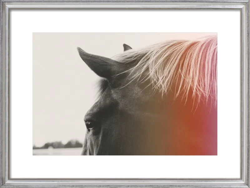 Pink Pony by Alicia Bock for Artfully Walls