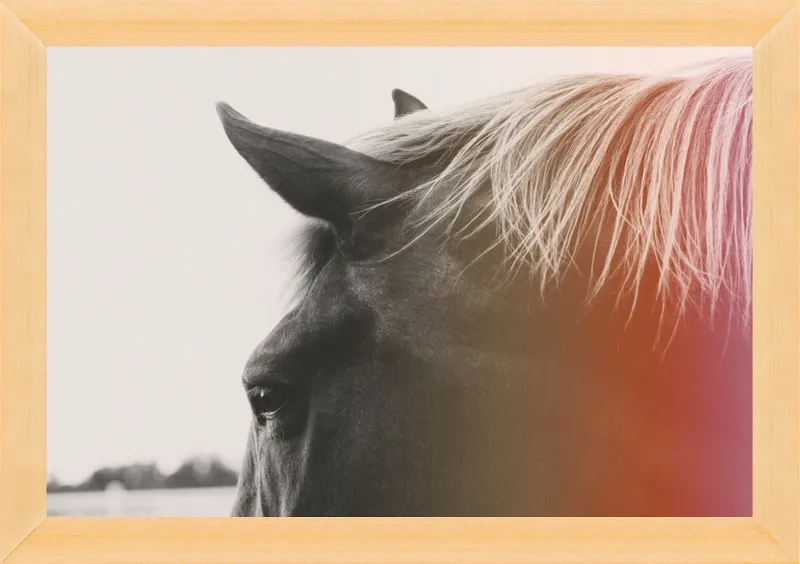 Pink Pony by Alicia Bock for Artfully Walls