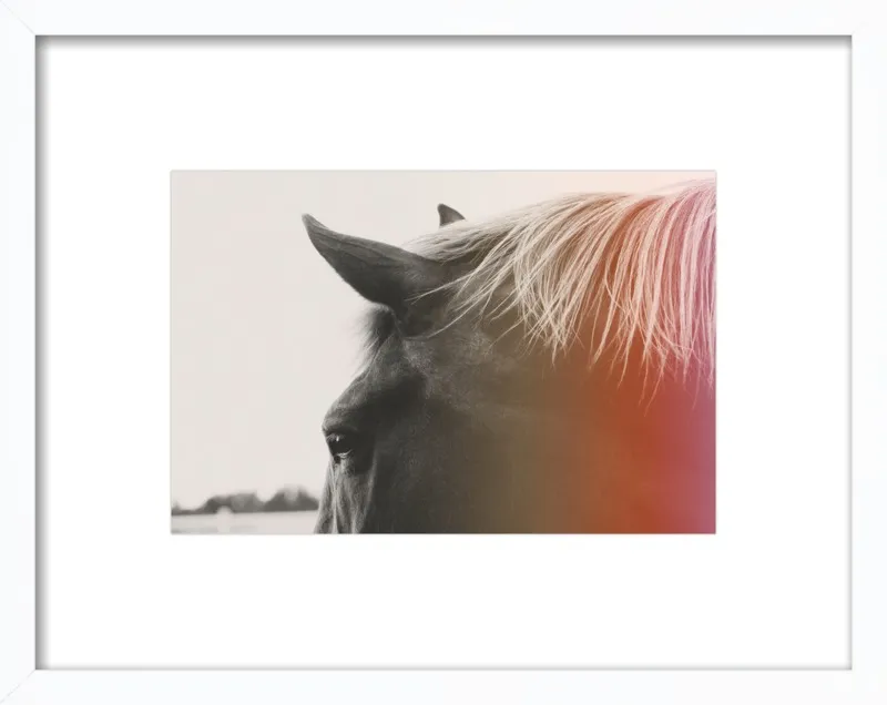 Pink Pony by Alicia Bock for Artfully Walls