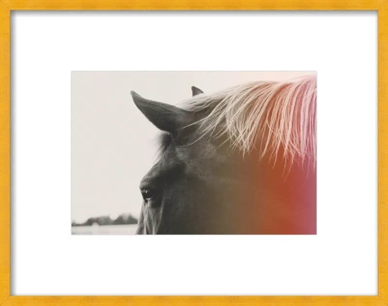 Pink Pony by Alicia Bock for Artfully Walls
