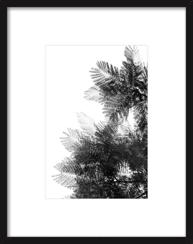 The Tree Top I by Tal Paz-Fridman for Artfully Walls