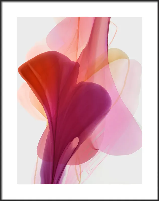 Abstract Flora Bloomlands 33 by Marta Spendowska for Artfully Walls