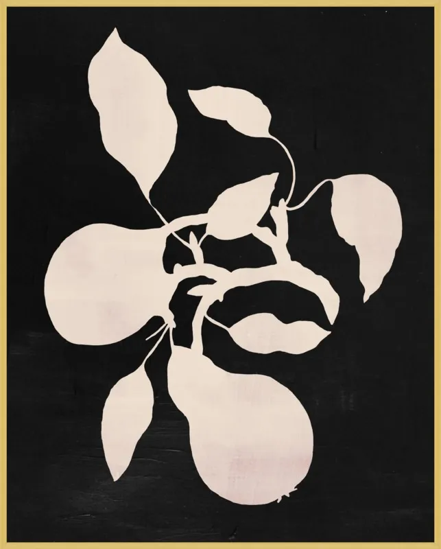 pears black and white by Ruti Shaashua for Artfully Walls