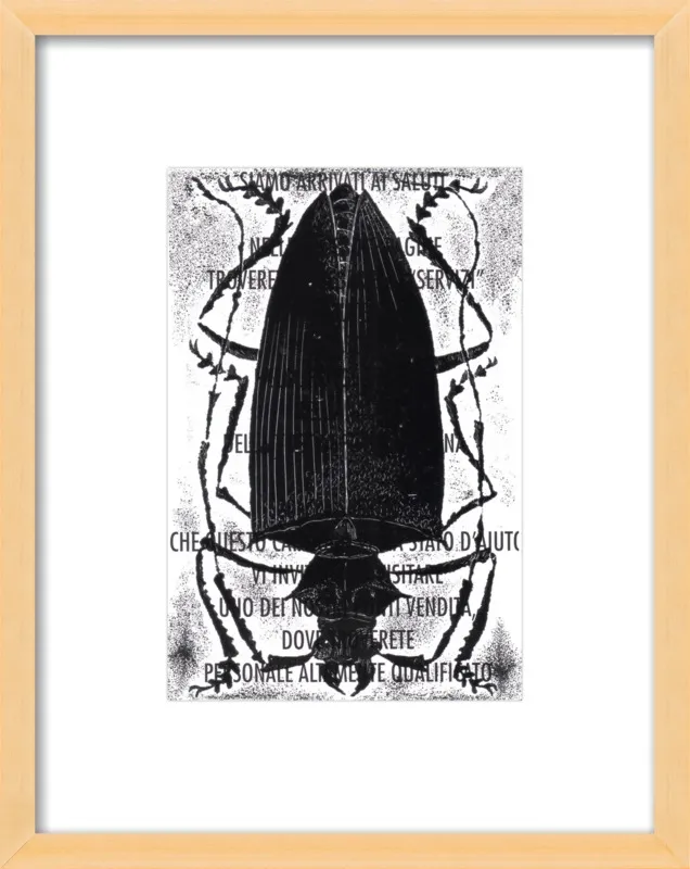 Black Beetle on Words by Tennopent Sooster for Artfully Walls