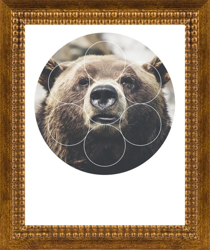 Big Bear Buddy - Geometric Photography by Emiliano Deificus for Artfully Walls