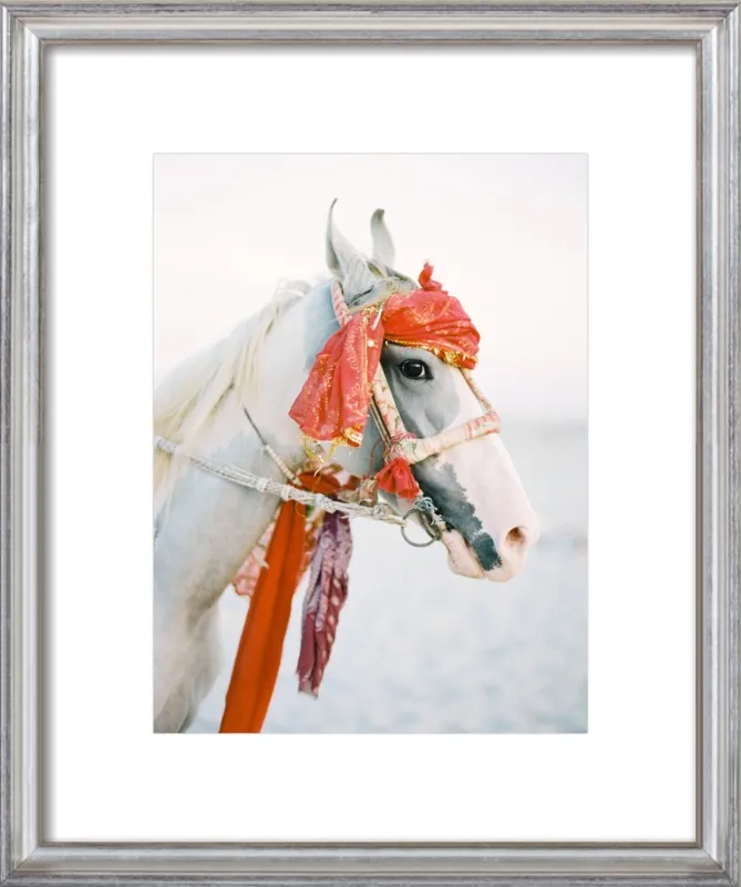 Marwari by Andrew Jacona for Artfully Walls