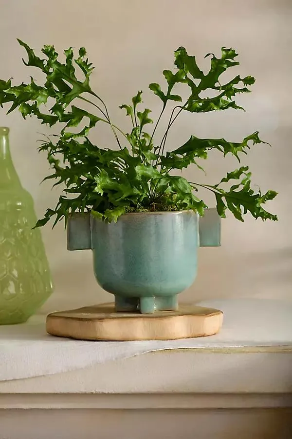 Double Handle Footed Ceramic Pot