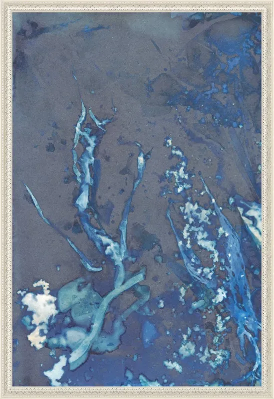 The Secret Life of Rockpools No. 32/100 by Desiree Elizabeth Malan for Artfully Walls