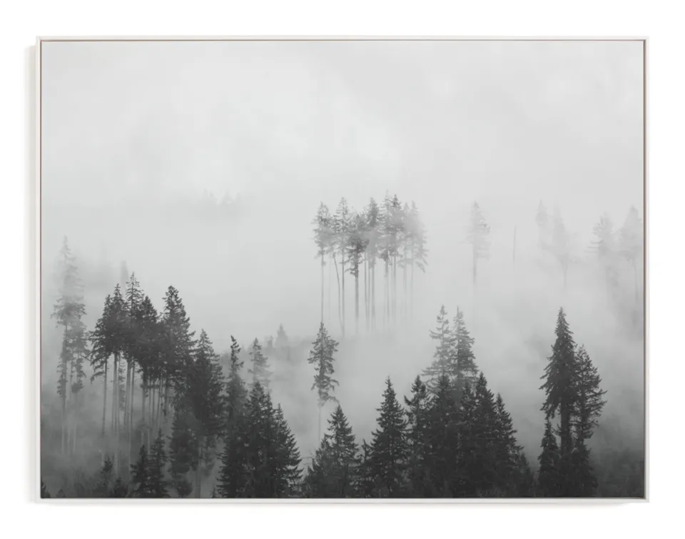 Morning Fog Limited Edition Fine Art Print