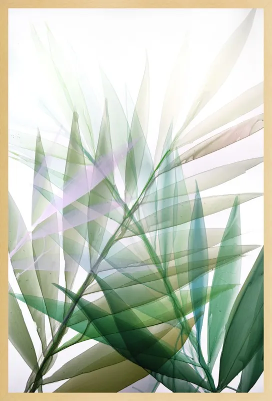 Tropical Study no. 8 by Marina Dunbar  for Artfully Walls
