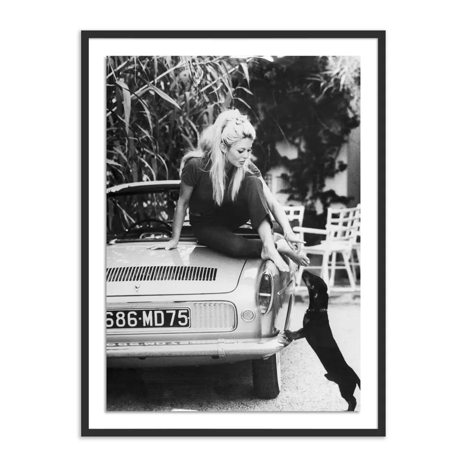 Brigitte Bardot With Dashchund	by Getty Images - Black 2.5 Maple