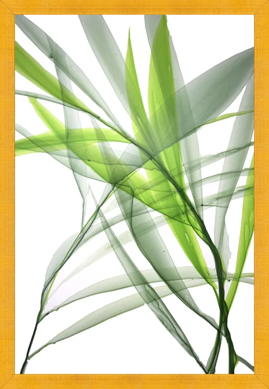 Tropical Study no. 3 by Marina Dunbar  for Artfully Walls