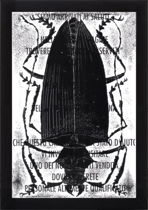 Black Beetle on Words by Tennopent Sooster for Artfully Walls