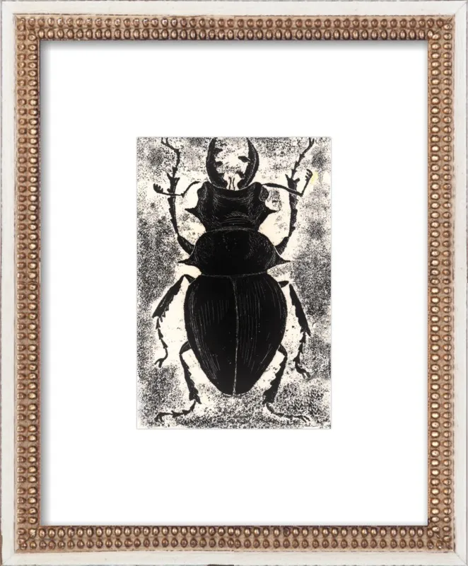 Black Beetle on White by Tennopent Sooster for Artfully Walls