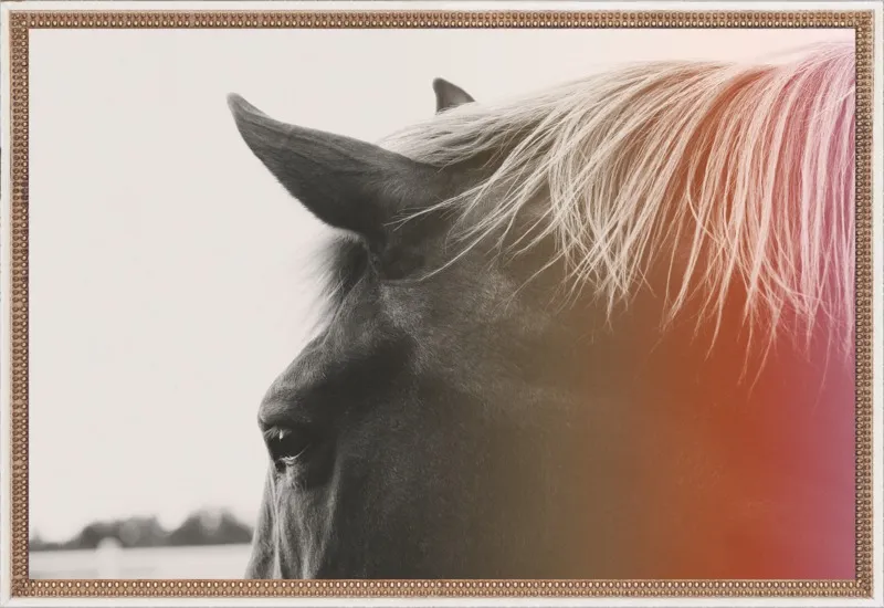 Pink Pony by Alicia Bock for Artfully Walls