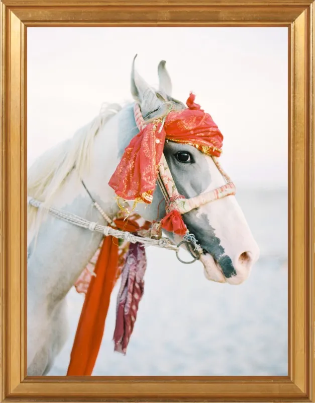 Marwari by Andrew Jacona for Artfully Walls
