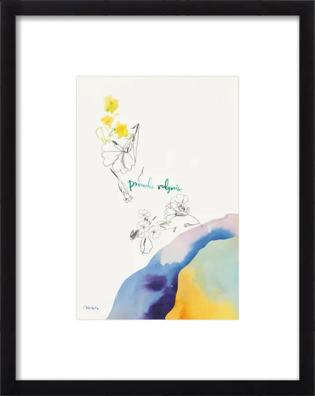 Primula Vulgaris by META WRABER for Artfully Walls