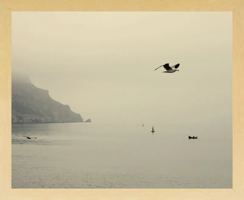 one day I will fly away by Ingrid Beddoes for Artfully Walls