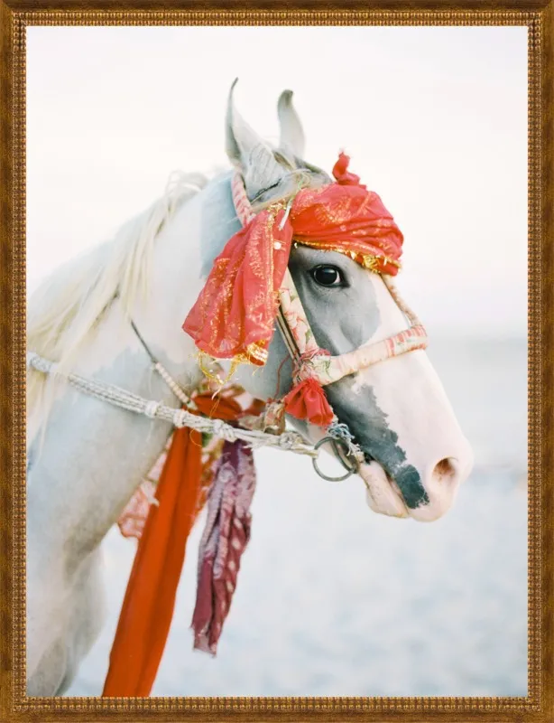 Marwari by Andrew Jacona for Artfully Walls