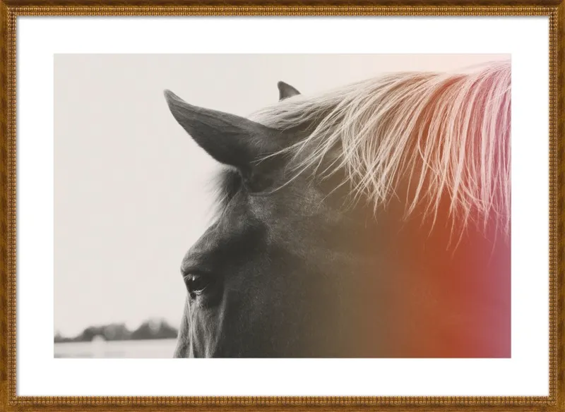 Pink Pony by Alicia Bock for Artfully Walls
