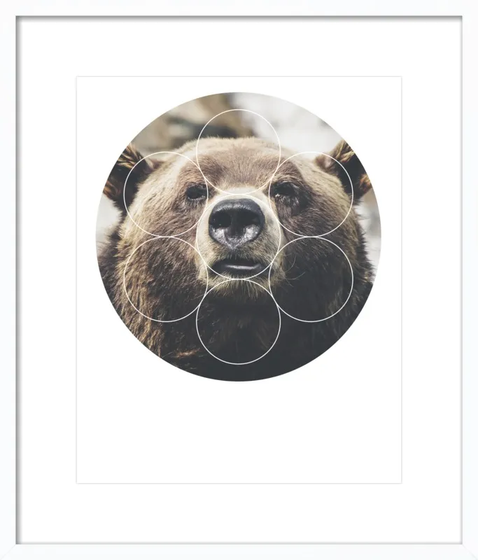 Big Bear Buddy - Geometric Photography by Emiliano Deificus for Artfully Walls