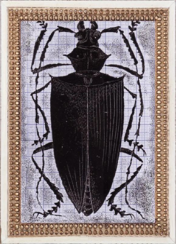 Black Beetle on Grey by Tennopent Sooster for Artfully Walls