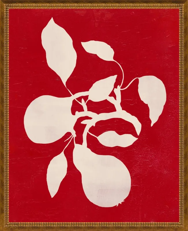 pears by Ruti Shaashua for Artfully Walls