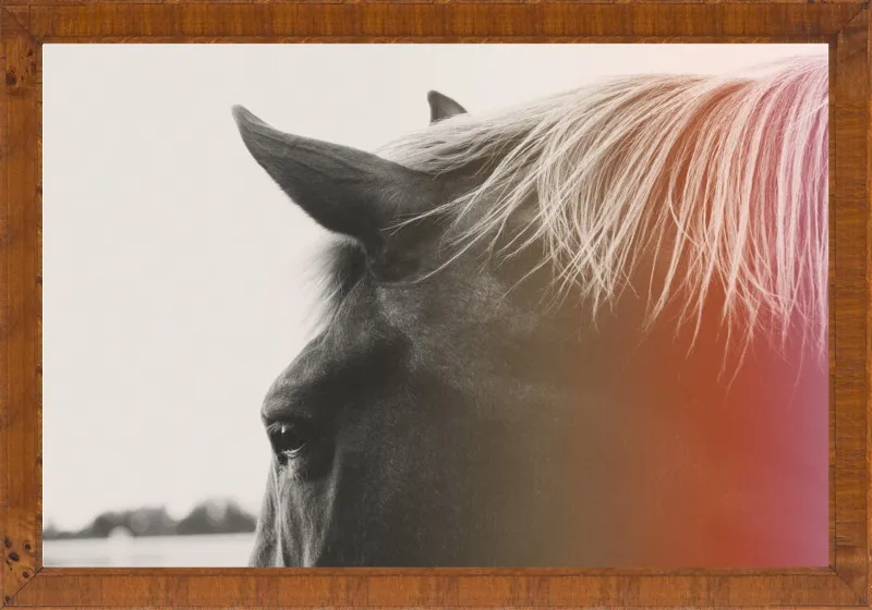 Pink Pony by Alicia Bock for Artfully Walls