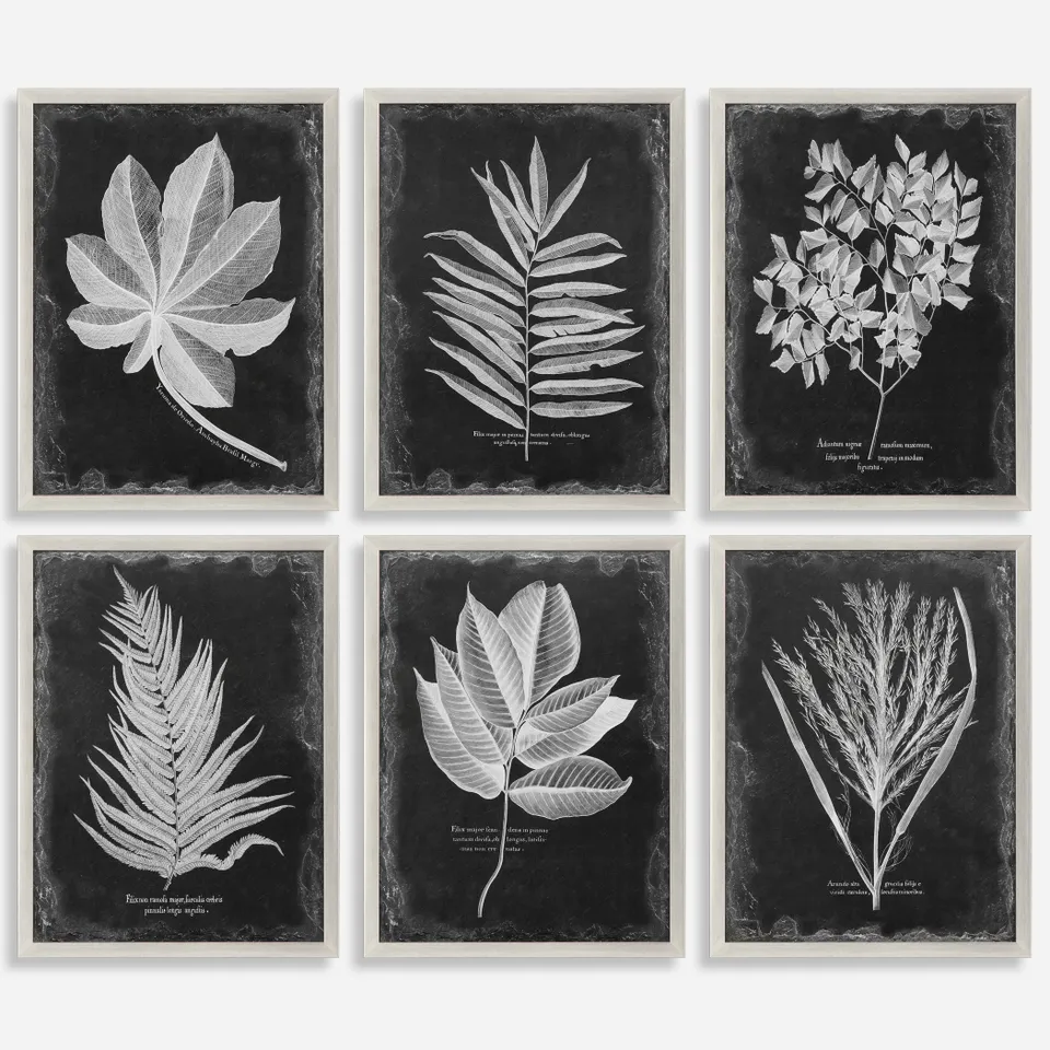 Foliage Framed Prints Set/6