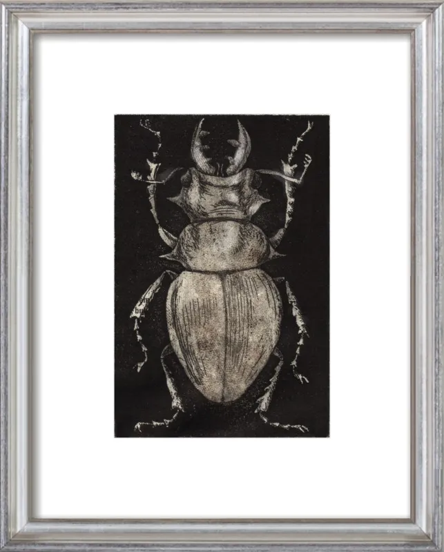 Grey Beetle on Black by Tennopent Sooster for Artfully Walls