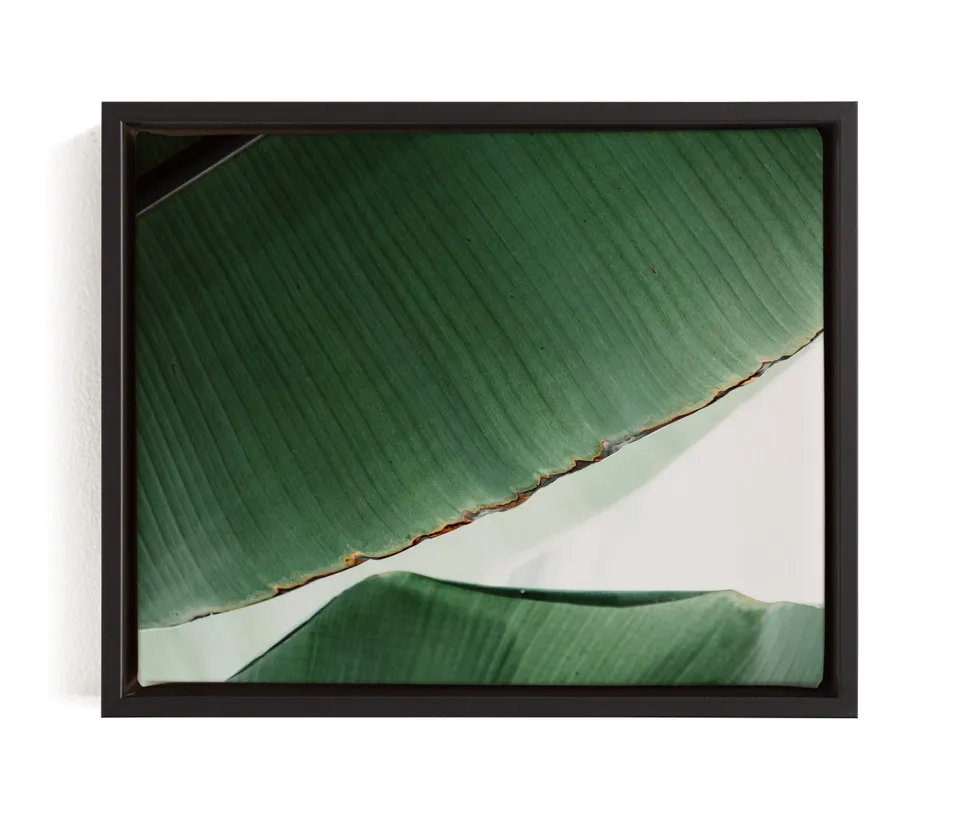 leaf &amp; Light 1 Limited Edition Fine Art Print