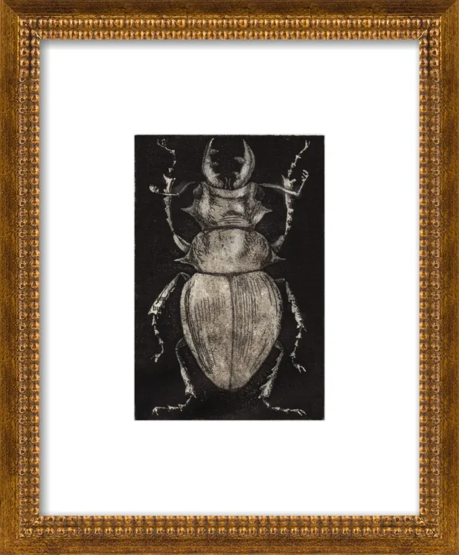 Grey Beetle on Black by Tennopent Sooster for Artfully Walls