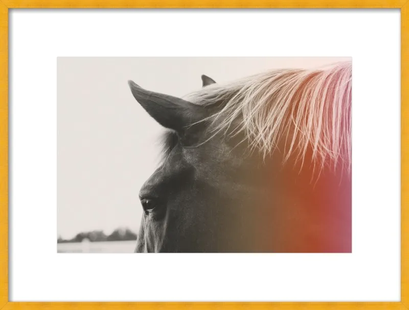 Pink Pony by Alicia Bock for Artfully Walls