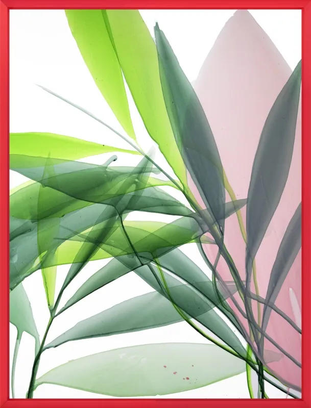 Tropical Study no. 15 by Marina Dunbar  for Artfully Walls
