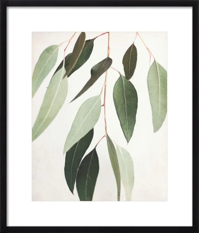 Eucalyptus Spring Three by Lupen Grainne for Artfully Walls