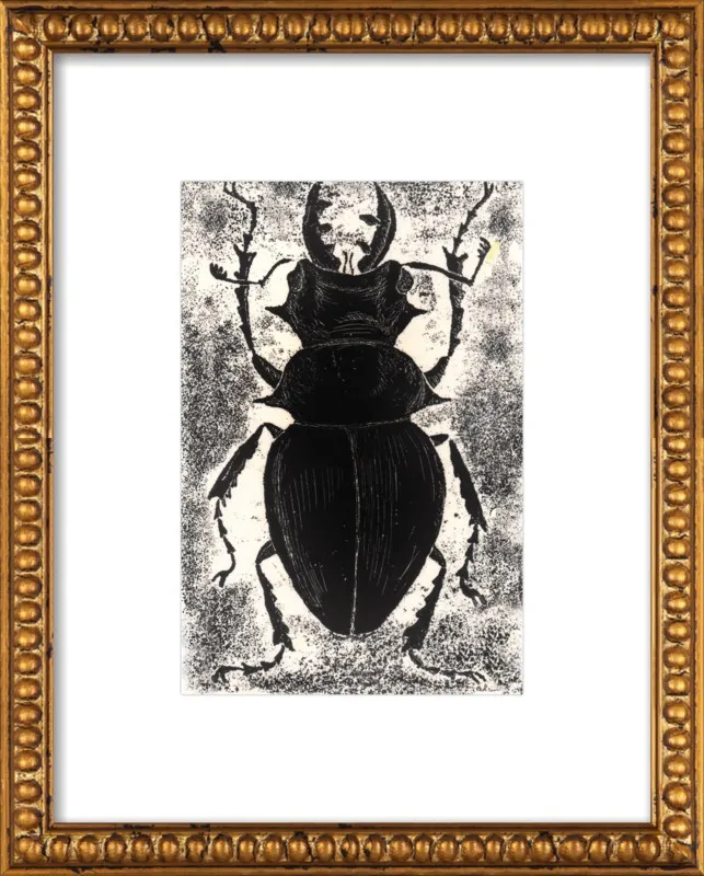 Black Beetle on White by Tennopent Sooster for Artfully Walls
