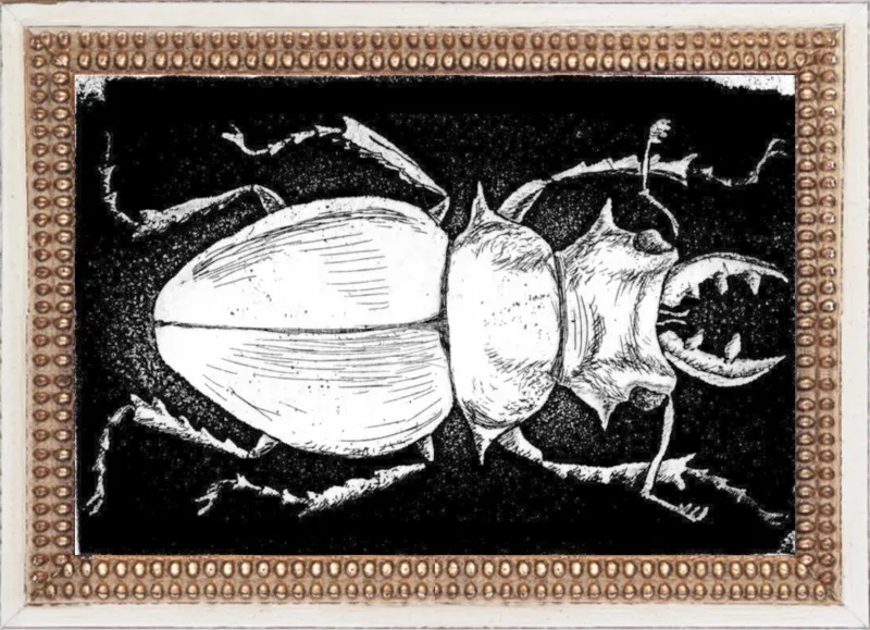 White Beetle on Black by Tennopent Sooster for Artfully Walls