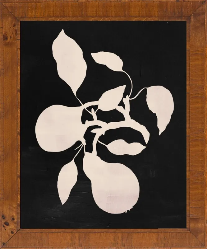 pears black and white by Ruti Shaashua for Artfully Walls
