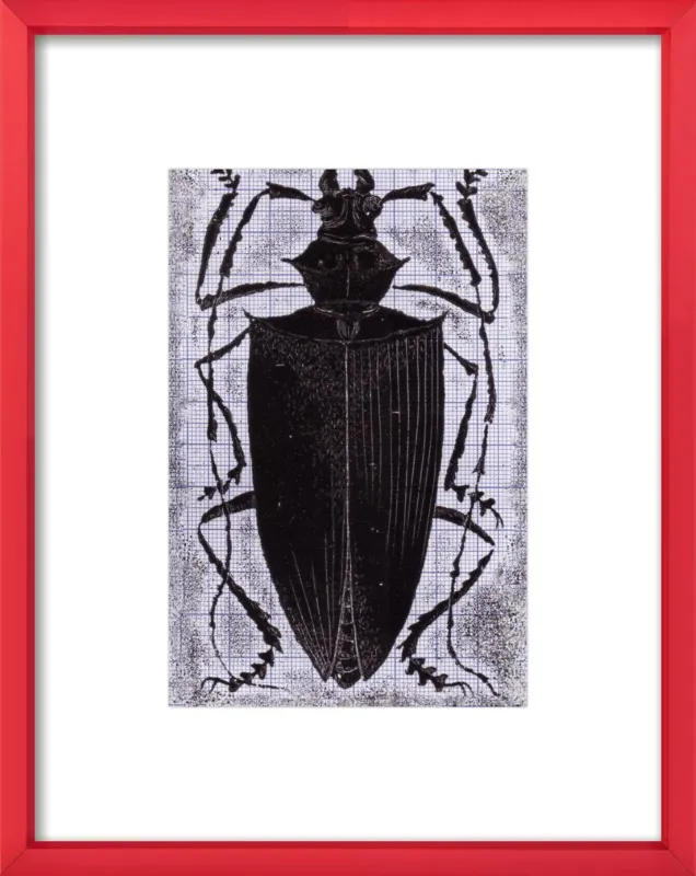 Black Beetle on Grey by Tennopent Sooster for Artfully Walls