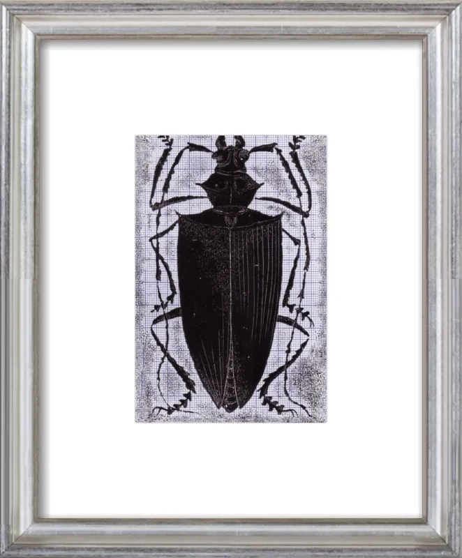 Black Beetle on Grey by Tennopent Sooster for Artfully Walls