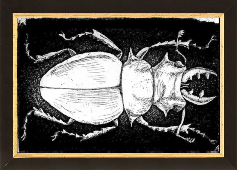 White Beetle on Black by Tennopent Sooster for Artfully Walls