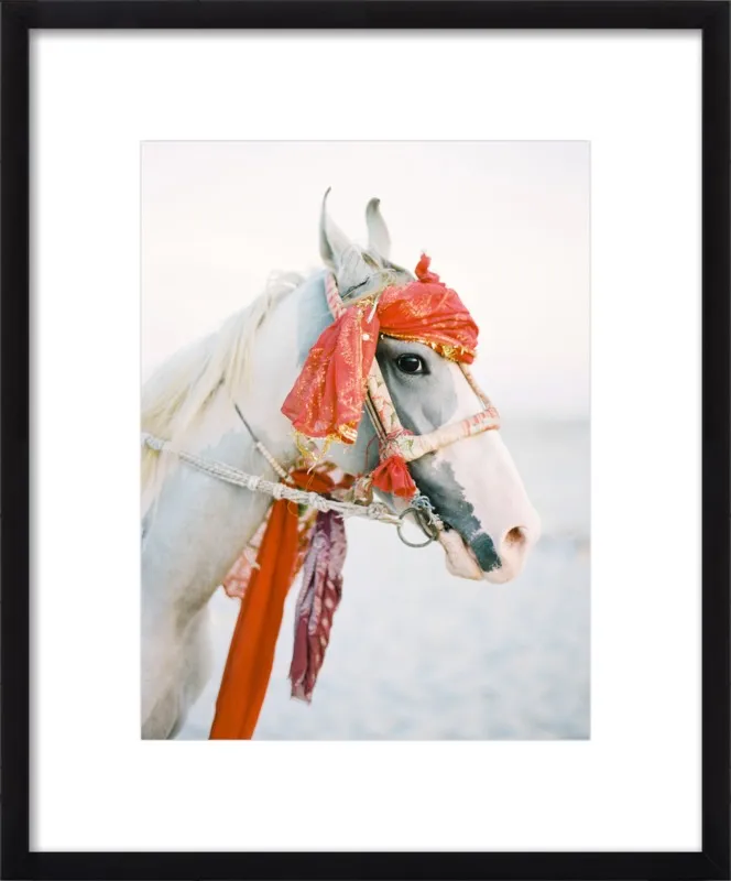 Marwari by Andrew Jacona for Artfully Walls