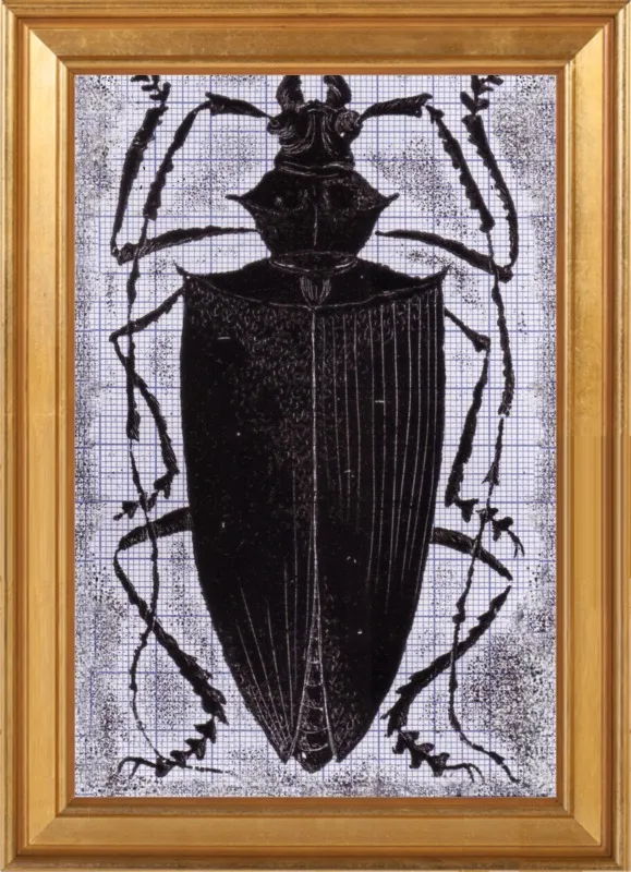 Black Beetle on Grey by Tennopent Sooster for Artfully Walls